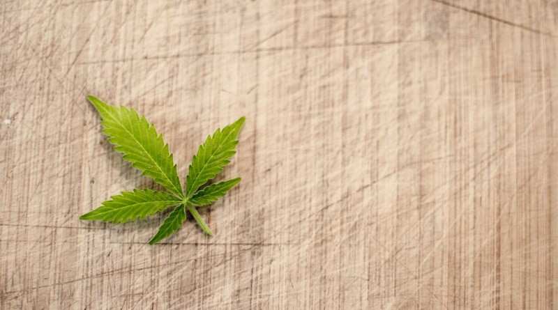 CBD Oil Cannabidiol For Pain Marshall 
      WI 53559